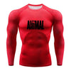 Men Fitness Clothing